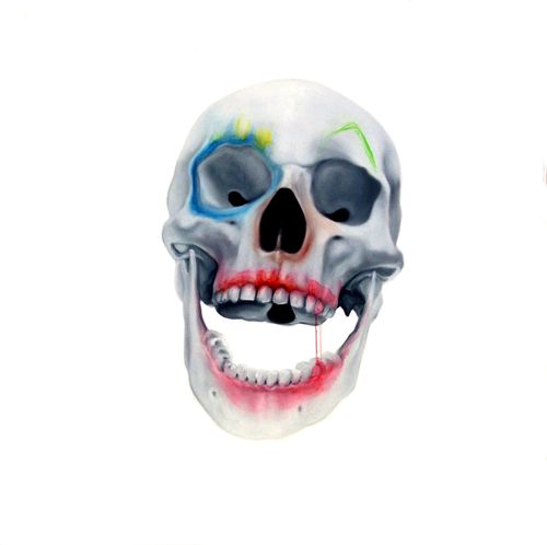 Face FS Skull Clown 2